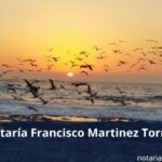 Notaría Francisco Martinez Torres