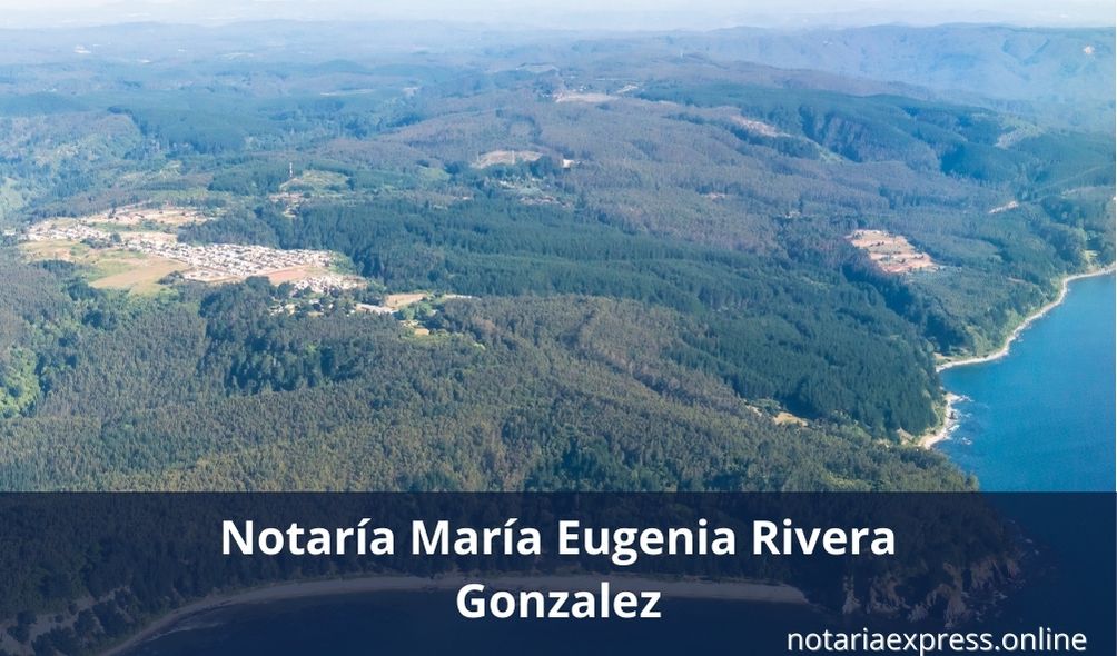 Notaría María Eugenia Rivera Gonzalez