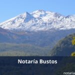 Notaría bustos