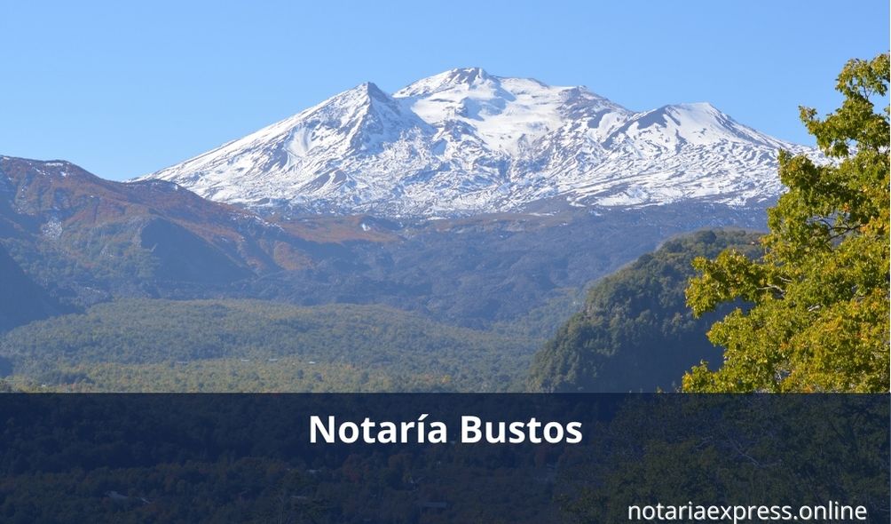 Notaría bustos