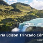 Notaría Edison Trincado Córdova