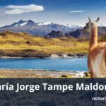 Notaría Jorge Tampe Maldonado