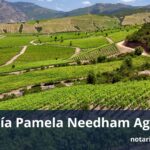 Notaría Pamela Needham Aguilera