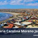 Notaría, Conservador y Archivero - Carolina Moreno Jashes
